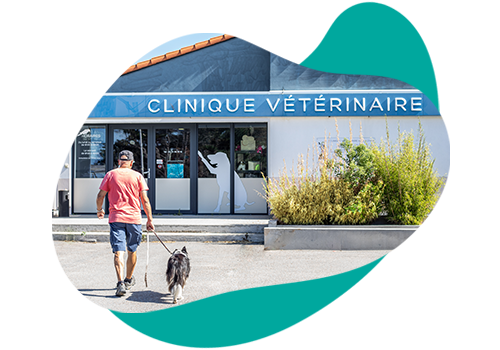 Clinique vétérinaire de Noirmoutier Alcéa d'Her