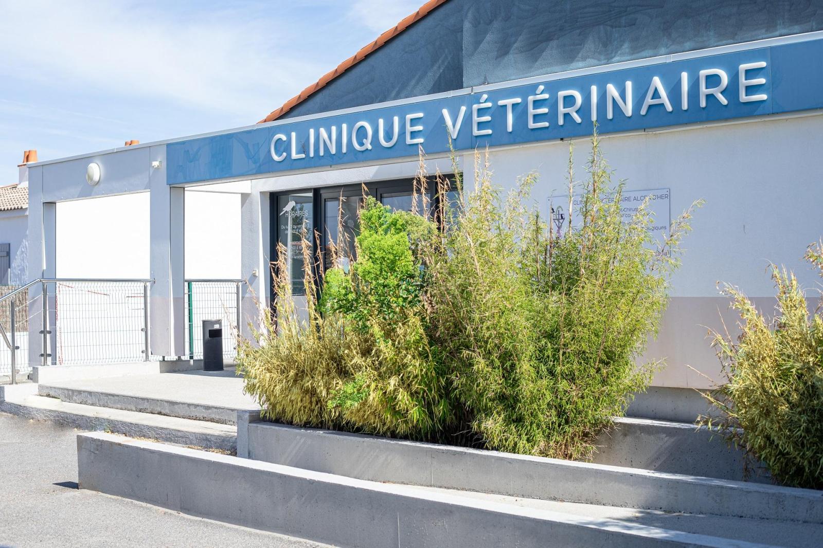 Clinique vétérinaire Alcéa d'Her de Noirmoutier