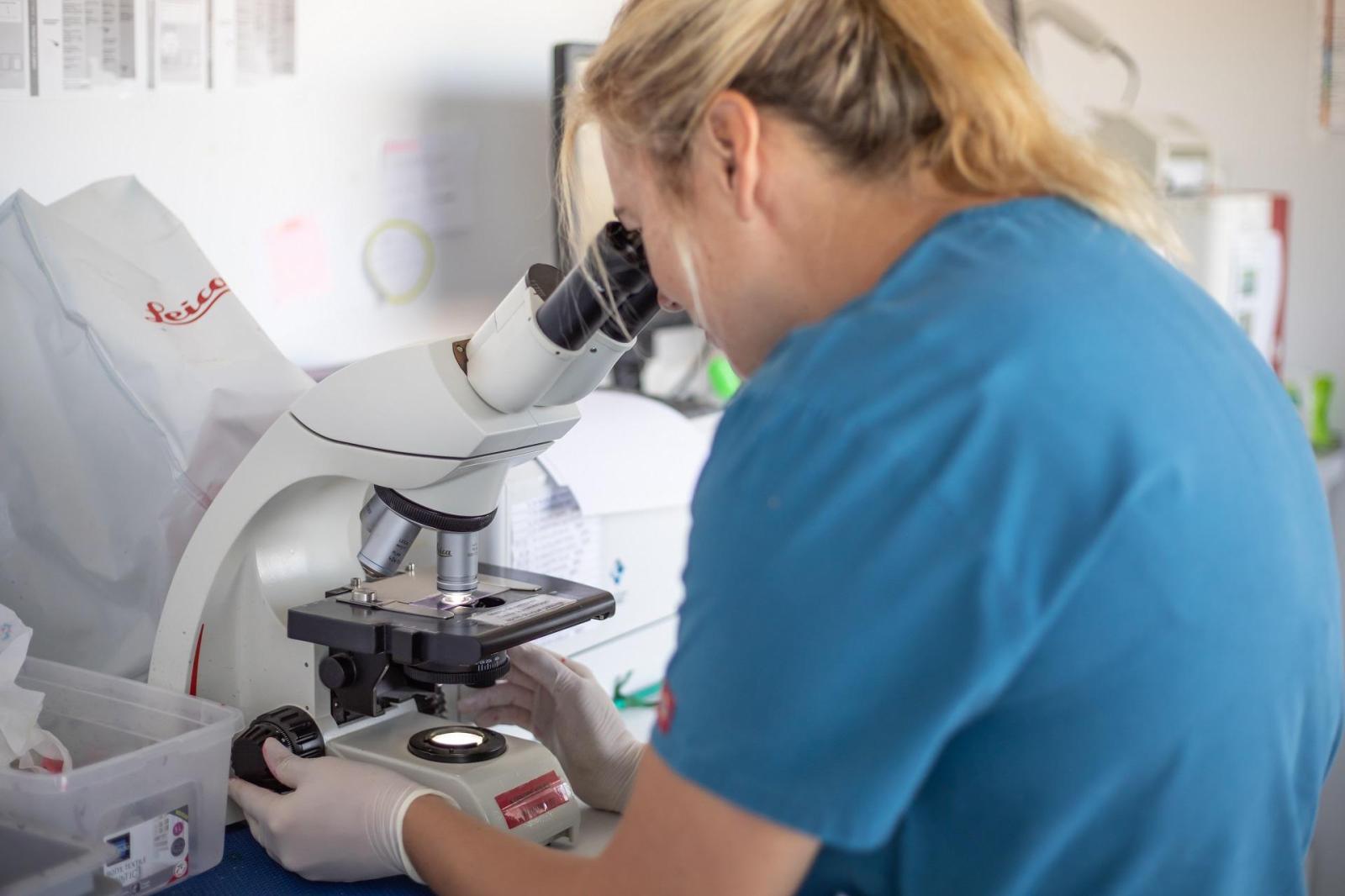 Analyses vétérinaire Clinique Clémenceau