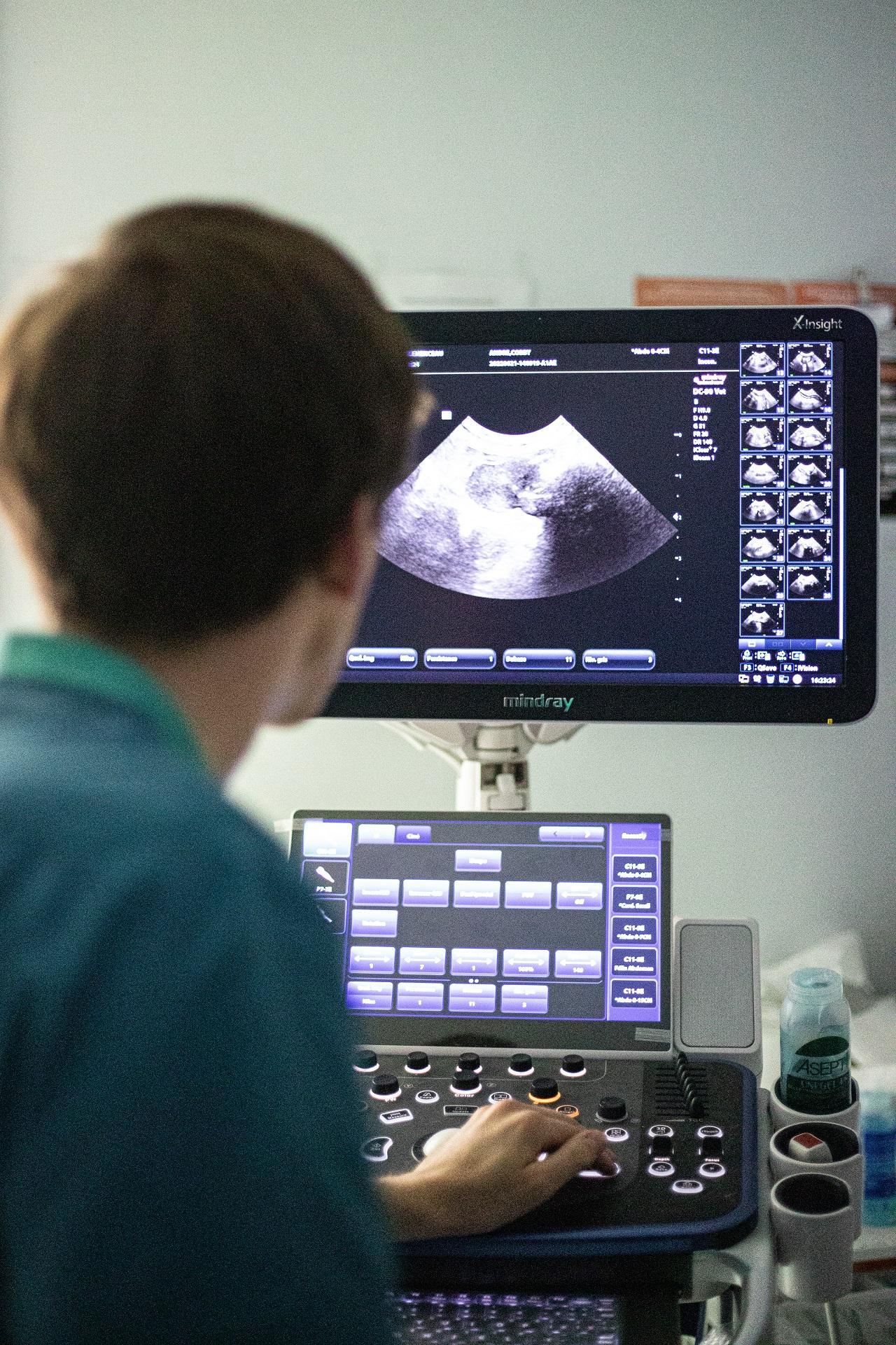 Service imagerie Clinique Vétérinaire